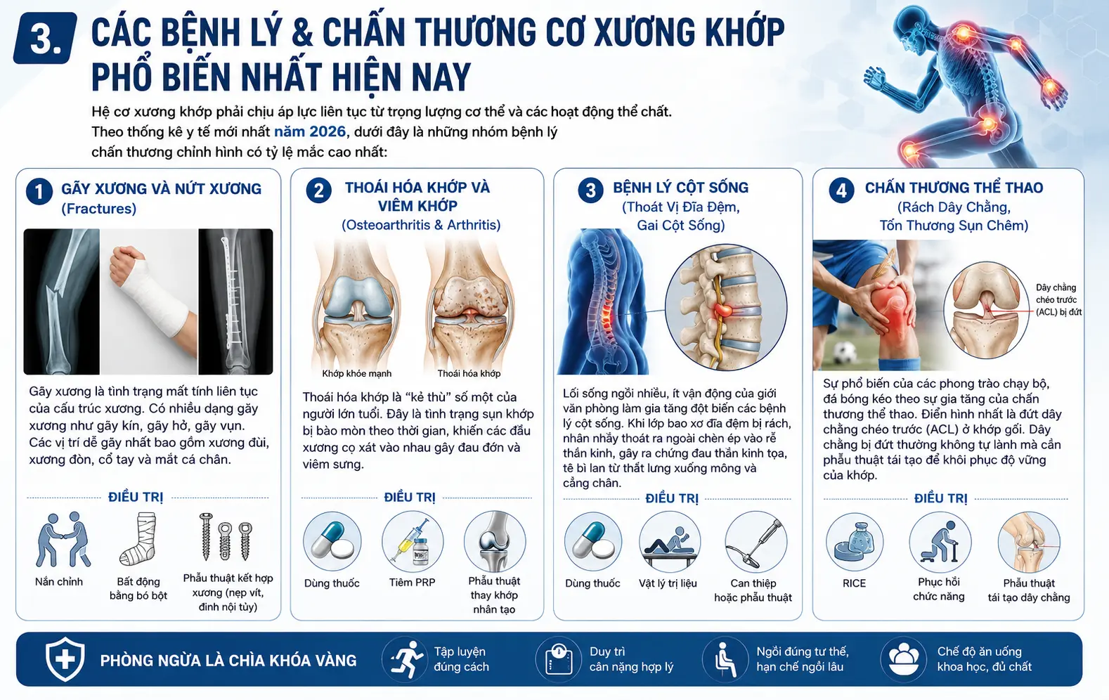 Các bệnh lý cơ xương khớp